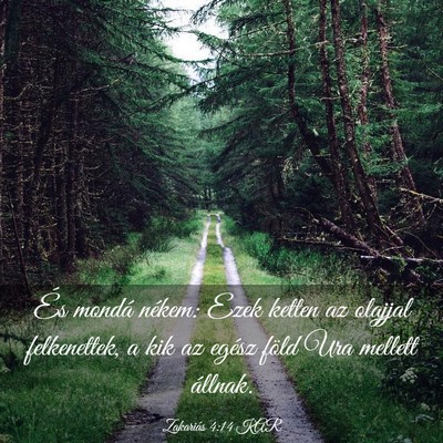 Picture 03 - Zakariás 4:14 KAR - És mondá nékem: Ezek ketten az olajjal - Bible Verse Picture