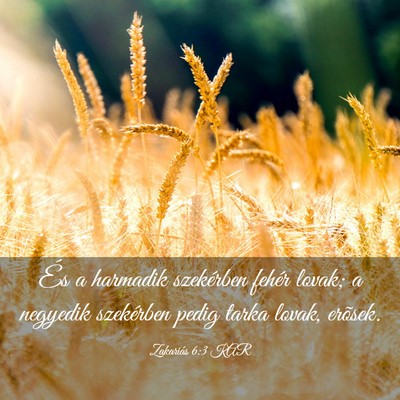 Picture 03 - Zakariás 6:3 KAR - És a harmadik szekérben fehér lovak; a - Bible Verse Picture