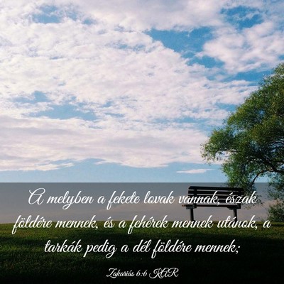 Picture 03 - Zakariás 6:6 KAR - A melyben a fekete lovak vannak, észak földére - Bible Verse Picture