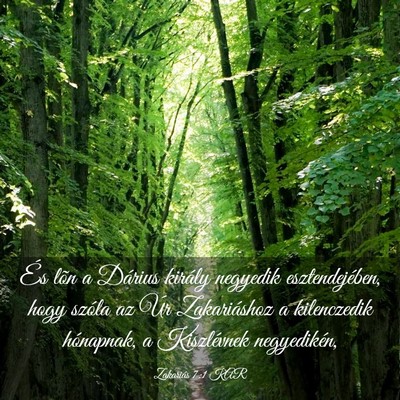 Picture 03 - Zakariás 7:1 KAR - És lõn a Dárius király negyedik - Bible Verse Picture