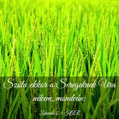 Picture 03 - Zakariás 7:4 KAR - Szóla ekkor a Seregeknek Ura nékem, - Bible Verse Picture