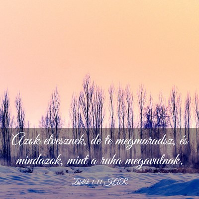 Picture 03 - Zsidók 1:11 KAR - Azok elvesznek, de te megmaradsz, és mindazok, - Bible Verse Picture