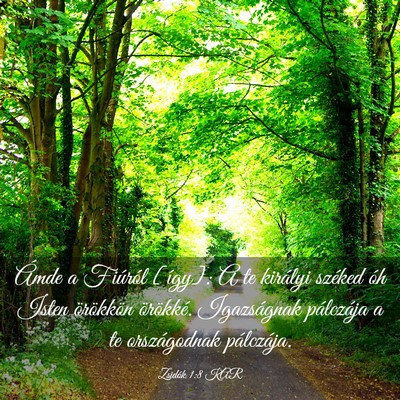 Picture 03 - Zsidók 1:8 KAR - Ámde a Fiúról [így]: A te királyi széked - Bible Verse Picture