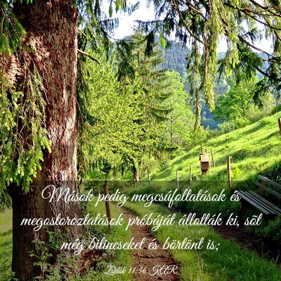 Picture 03 - Zsidók 11:36 KAR - Mások pedig megcsúfoltatások és - Bible Verse Picture