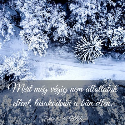 Picture 03 - Zsidók 12:4 KAR - Mert még végig nem állottatok ellent, - Bible Verse Picture
