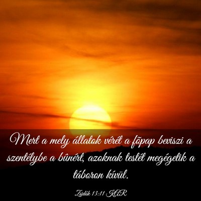 Picture 03 - Zsidók 13:11 KAR - Mert a mely állatok vérét a fõpap beviszi a - Bible Verse Picture