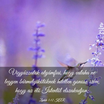 Picture 03 - Zsidók 3:12 KAR - Vigyázzatok atyámfiai, hogy valaha ne legyen - Bible Verse Picture