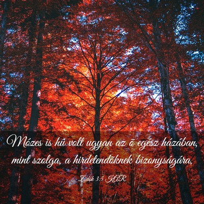 Picture 03 - Zsidók 3:5 KAR - Mózes is hû volt ugyan az õ egész házában, - Bible Verse Picture