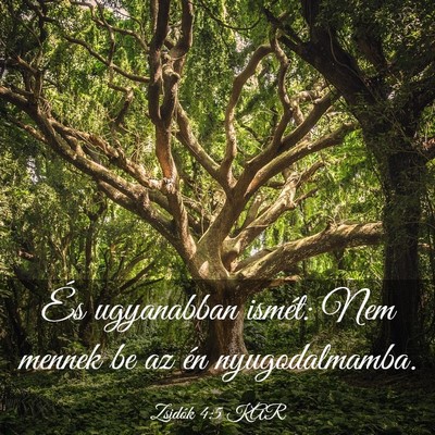 Picture 03 - Zsidók 4:5 KAR - És ugyanabban ismét: Nem mennek be az én - Bible Verse Picture