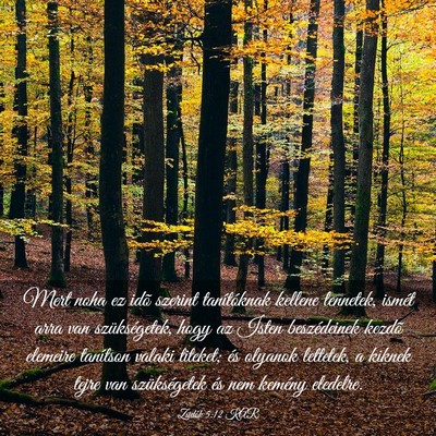 Picture 03 - Zsidók 5:12 KAR - Mert noha ez idõ szerint tanítóknak kellene - Bible Verse Picture