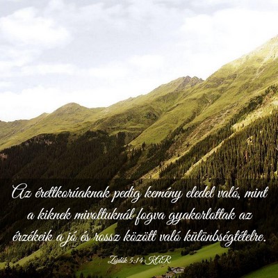 Picture 03 - Zsidók 5:14 KAR - Az érettkorúaknak pedig kemény eledel való, - Bible Verse Picture