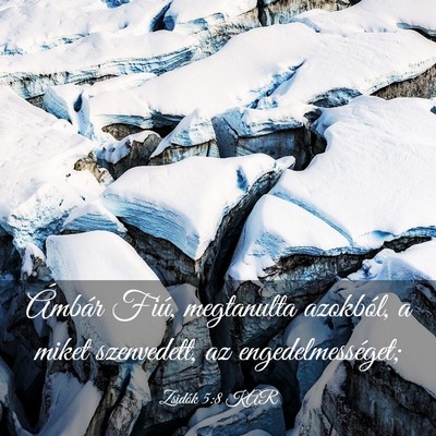 Picture 03 - Zsidók 5:8 KAR - Ámbár Fiú, megtanulta azokból, a miket - Bible Verse Picture