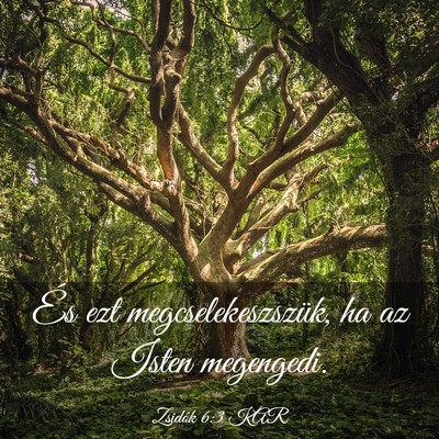 Picture 03 - Zsidók 6:3 KAR - És ezt megcselekeszszük, ha az Isten - Bible Verse Picture