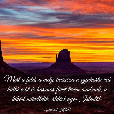 Picture 03 - Zsidók 6:7 KAR - Mert a föld, a mely beiszsza a gyakorta reá - Bible Verse Picture