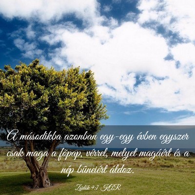 Picture 03 - Zsidók 9:7 KAR - A másodikba azonban egy-egy évben egyszer csak - Bible Verse Picture
