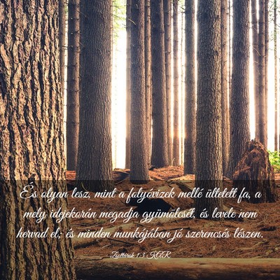 Picture 03 - Zsoltárok 1:3 KAR - És olyan lesz, mint a folyóvizek mellé - Bible Verse Picture
