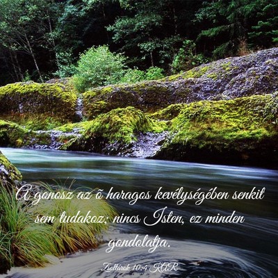 Picture 03 - Zsoltárok 10:4 KAR - A gonosz az õ haragos kevélységében senkit - Bible Verse Picture