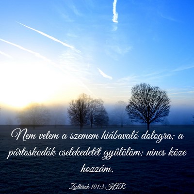 Picture 03 - Zsoltárok 101:3 KAR - Nem vetem a szemem hiábavaló dologra; a - Bible Verse Picture
