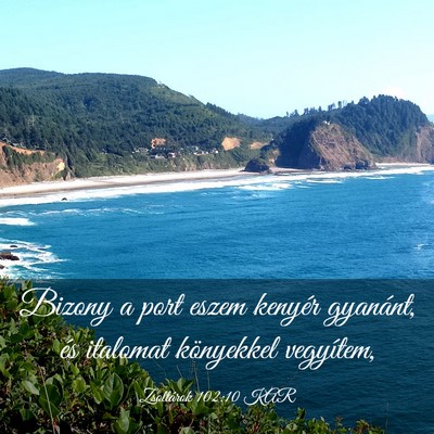 Picture 03 - Zsoltárok 102:10 KAR - Bizony a port eszem kenyér gyanánt, és - Bible Verse Picture