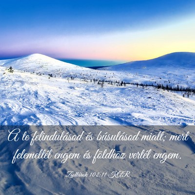 Picture 03 - Zsoltárok 102:11 KAR - A te felindulásod és búsulásod miatt; mert - Bible Verse Picture