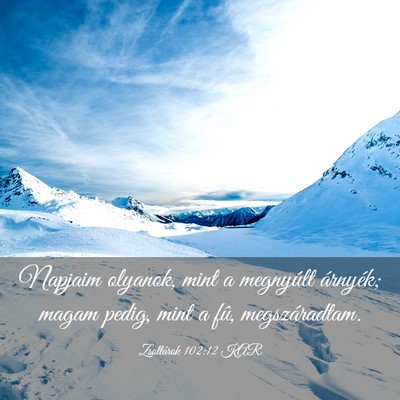 Picture 03 - Zsoltárok 102:12 KAR - Napjaim olyanok, mint a megnyúlt árnyék; magam - Bible Verse Picture