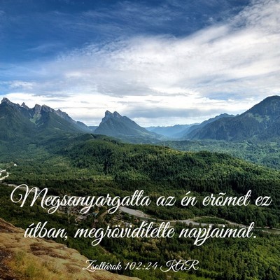 Picture 03 - Zsoltárok 102:24 KAR - Megsanyargatta az én erõmet ez útban, - Bible Verse Picture
