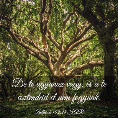 Picture 03 - Zsoltárok 102:28 KAR - De te ugyanaz vagy, és a te esztendeid el nem - Bible Verse Picture
