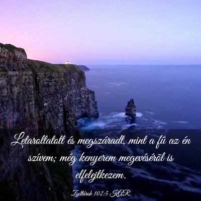 Picture 03 - Zsoltárok 102:5 KAR - Letaroltatott és megszáradt, mint a fû az én - Bible Verse Picture