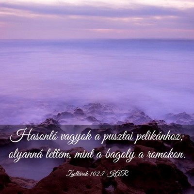 Picture 03 - Zsoltárok 102:7 KAR - Hasonló vagyok a pusztai pelikánhoz; olyanná - Bible Verse Picture