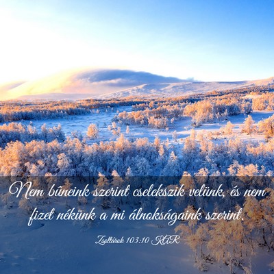 Picture 03 - Zsoltárok 103:10 KAR - Nem bûneink szerint cselekszik velünk, és nem - Bible Verse Picture