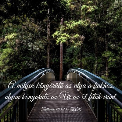 Picture 03 - Zsoltárok 103:13 KAR - A milyen könyörülõ az atya a fiakhoz, olyan - Bible Verse Picture