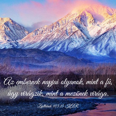 Picture 03 - Zsoltárok 103:15 KAR - Az embernek napjai olyanok, mint a fû, úgy - Bible Verse Picture