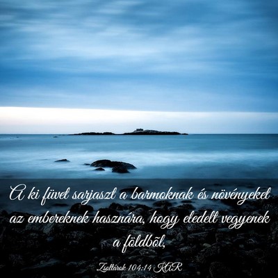 Picture 03 - Zsoltárok 104:14 KAR - A ki füvet sarjaszt a barmoknak és növényeket - Bible Verse Picture