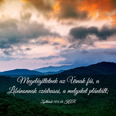Picture 03 - Zsoltárok 104:16 KAR - Megelégíttetnek az Úrnak fái, a Libánonnak - Bible Verse Picture
