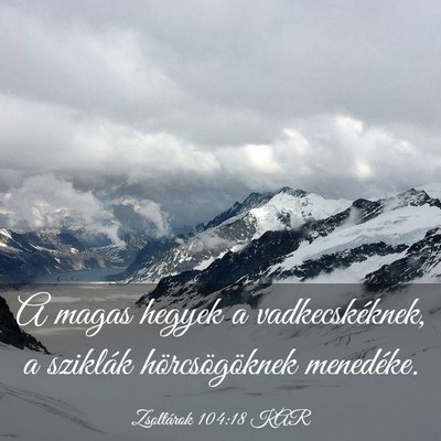 Picture 03 - Zsoltárok 104:18 KAR - A magas hegyek a vadkecskéknek, a sziklák - Bible Verse Picture