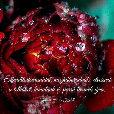 Picture 03 - Zsoltárok 104:29 KAR - Elfordítod orczádat, megháborodnak; elveszed a - Bible Verse Picture