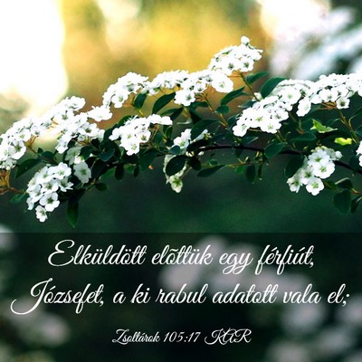 Picture 03 - Zsoltárok 105:17 KAR - Elküldött elõttük egy férfiút, Józsefet, a - Bible Verse Picture