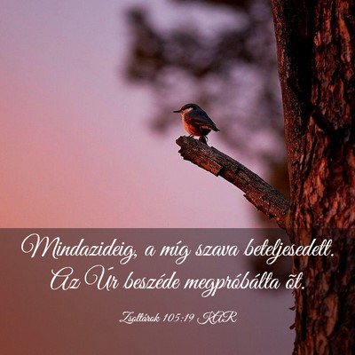 Picture 03 - Zsoltárok 105:19 KAR - Mindazideig, a míg szava beteljesedett. Az Úr - Bible Verse Picture