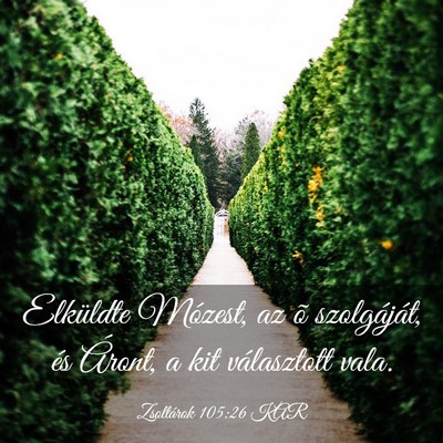 Picture 03 - Zsoltárok 105:26 KAR - Elküldte Mózest, az õ szolgáját, és Áront, - Bible Verse Picture