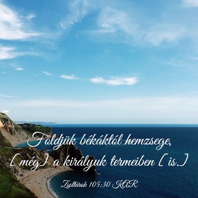 Picture 03 - Zsoltárok 105:30 KAR - Földjük békáktól hemzsege, [még] a - Bible Verse Picture