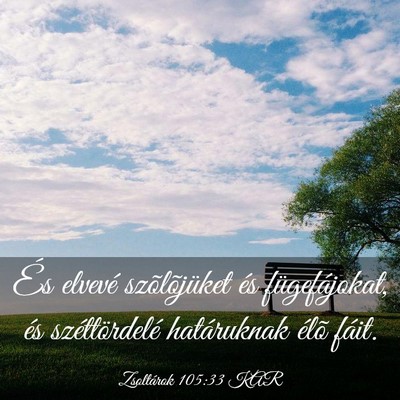 Picture 03 - Zsoltárok 105:33 KAR - És elvevé szõlõjüket és fügefájokat, és - Bible Verse Picture