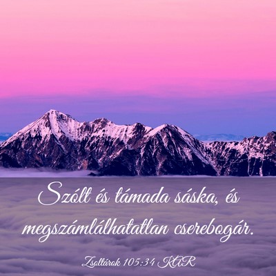 Picture 03 - Zsoltárok 105:34 KAR - Szólt és támada sáska, és - Bible Verse Picture