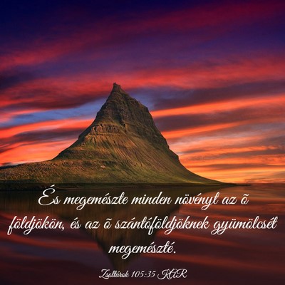 Picture 03 - Zsoltárok 105:35 KAR - És megemészte minden növényt az õ - Bible Verse Picture