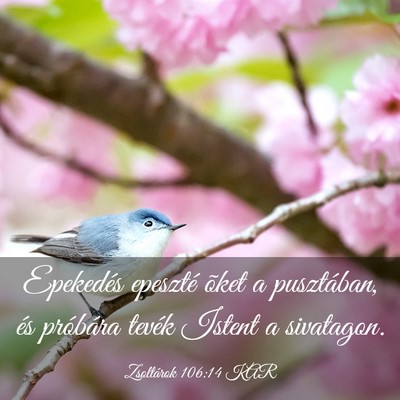 Picture 03 - Zsoltárok 106:14 KAR - Epekedés epeszté õket a pusztában, és - Bible Verse Picture