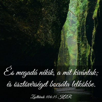 Picture 03 - Zsoltárok 106:15 KAR - És megadá nékik, a mit kivántak; és - Bible Verse Picture