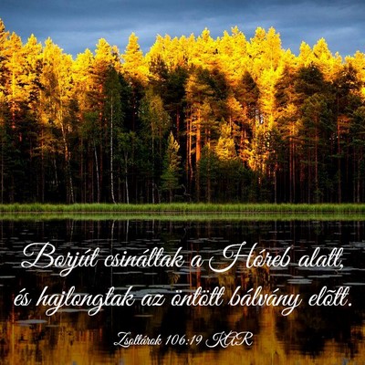 Picture 03 - Zsoltárok 106:19 KAR - Borjút csináltak a Hóreb alatt, és hajlongtak - Bible Verse Picture