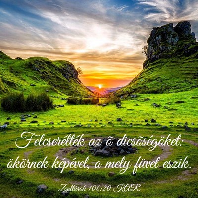 Picture 03 - Zsoltárok 106:20 KAR - Felcserélték az õ dicsõségöket: ökörnek - Bible Verse Picture