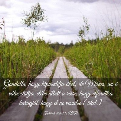 Picture 03 - Zsoltárok 106:23 KAR - Gondolta, hogy kipusztítja õket; de Mózes, az - Bible Verse Picture
