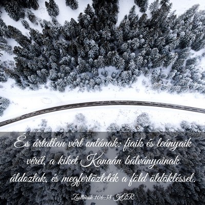 Picture 03 - Zsoltárok 106:38 KAR - És ártatlan vért ontának: fiaik és leányaik - Bible Verse Picture