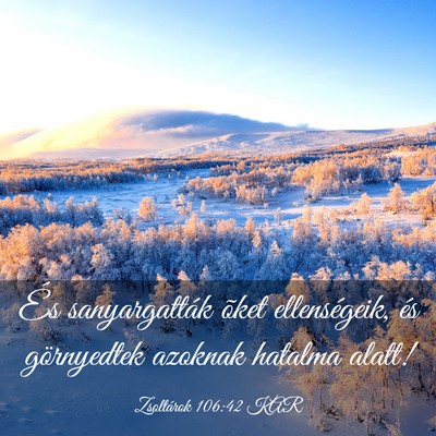 Picture 03 - Zsoltárok 106:42 KAR - És sanyargatták õket ellenségeik, és - Bible Verse Picture